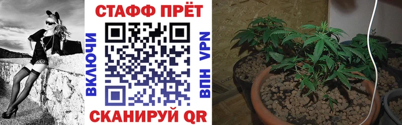 Виды наркотиков купить Заволжье Кокаин  А ПВП  Меф  ГАШ  Канабис 
