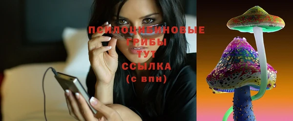 ALPHA-PVP Осинники