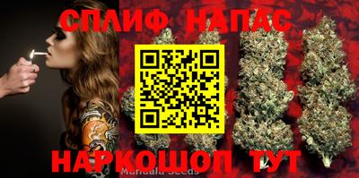 дурь Гусиноозёрск