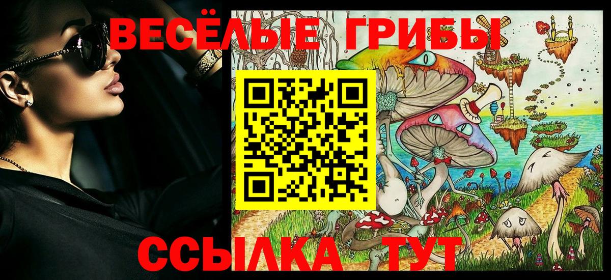 цена наркотик  Заволжье  Псилоцибиновые грибы MAGIC MUSHROOMS 