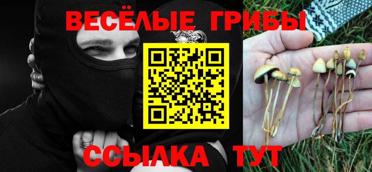 Псилоцибиновые грибы ЛСД  Вход с VPN  Псилоцибиновые грибы Cubensis  Заволжье 